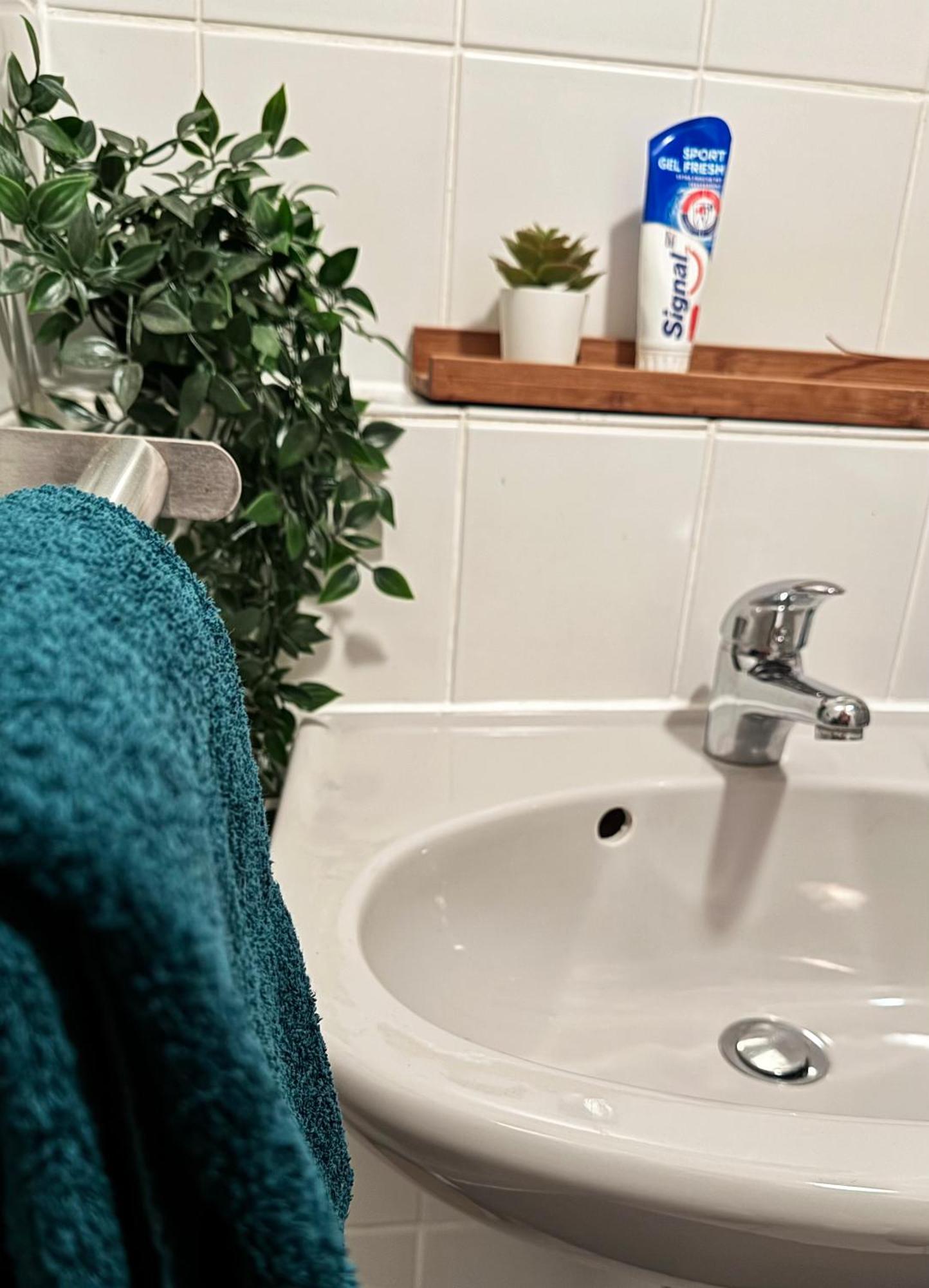 Zentrumnah Inklusive Parkplatz Jungle-Suite By Rentigo - Ruheoase Im Herzen Von Saarbruecken! 외부 사진